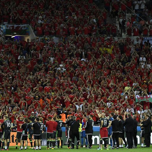 Wales' amazing journey ends