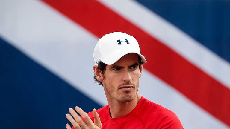 Andy Murray goes wild during the Davis Cup quarter final match v Serbia