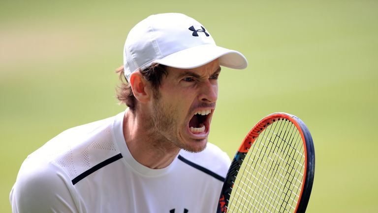 Andy Murray celebrates against Tomas Berdych 