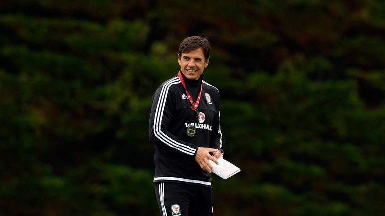 Wales manager Chris Coleman looks on