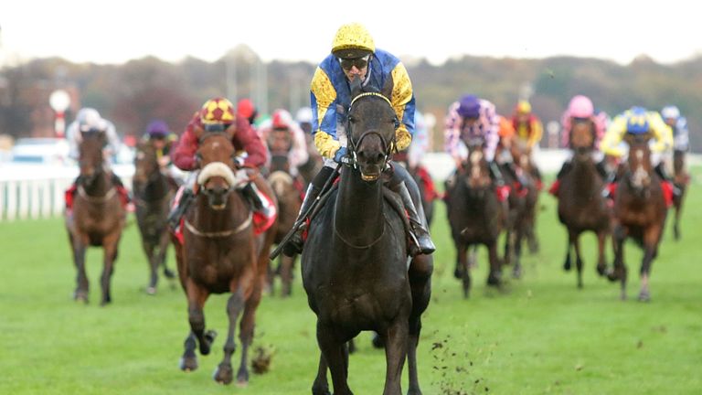 Litigant leads Buonarotti home to win the 2015 November Handicap.