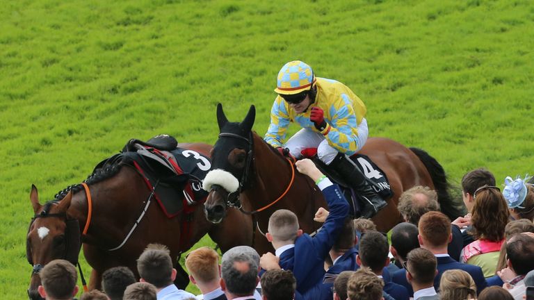 Xsquared, ridden by Kevin Sexton, pictured after winning the Guinness Harp Novice Chase