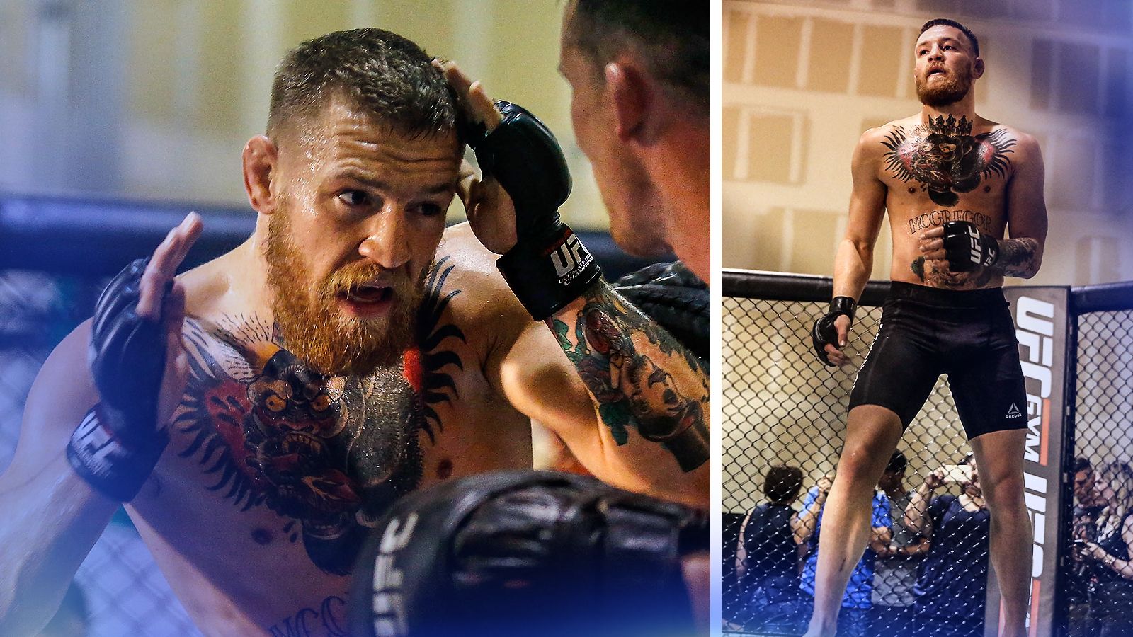 Conor McGregor's restructured training to fight Nate Diaz at UFC 202  revealed, WWE News