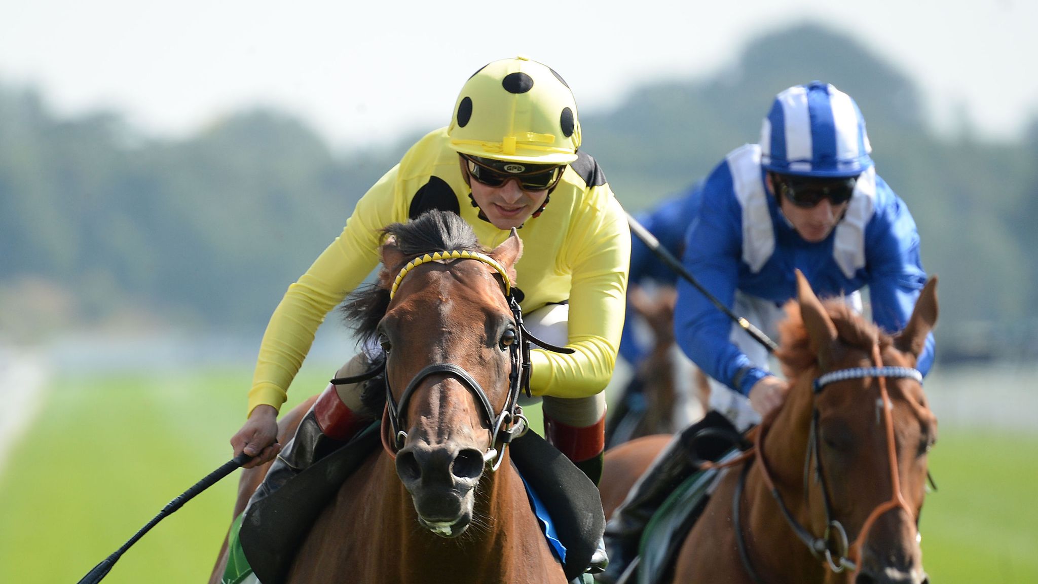 Postponed could be bound for the Breeders' Cup Turf following the