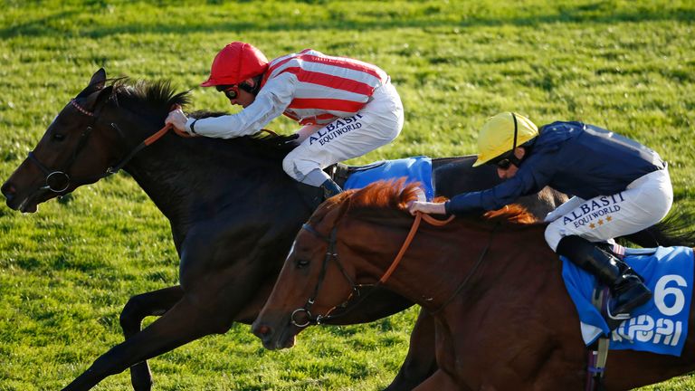 Dane O'Neill riding Chain Of Daisies to victory