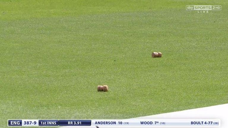 Corks on the outfield during the first Test between England and New Zealand at Lord's in 2015