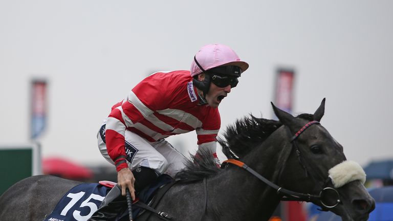 Mecca's Angel was a brilliant winner of the Nunthorpe