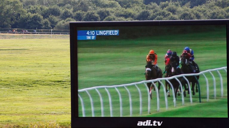 LINGFIELD, ENGLAND - AUGUST 24: The runners in The Download The Ladbrokes App Claiming Stakes climb the hill (L) as the big screen shows the action.