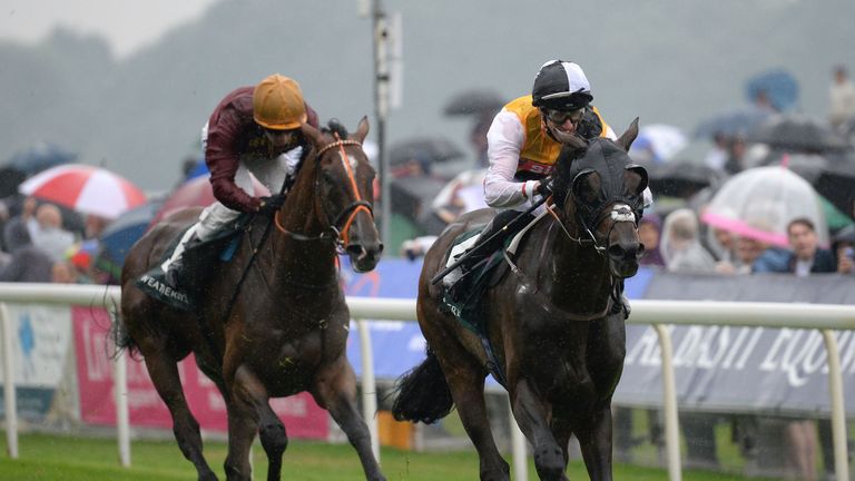 Quest For More got the better of Pallasator