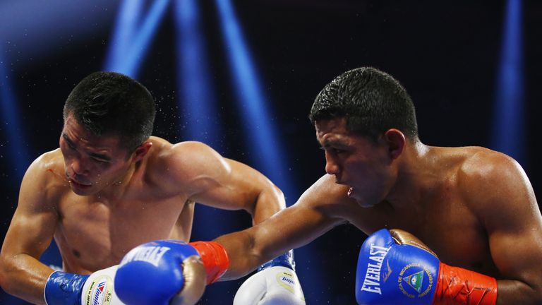  Roman Gonzalez punches Brian Viloria during their WBC Flyweight Title fight at Madison Square Garden on October 17, 2015 