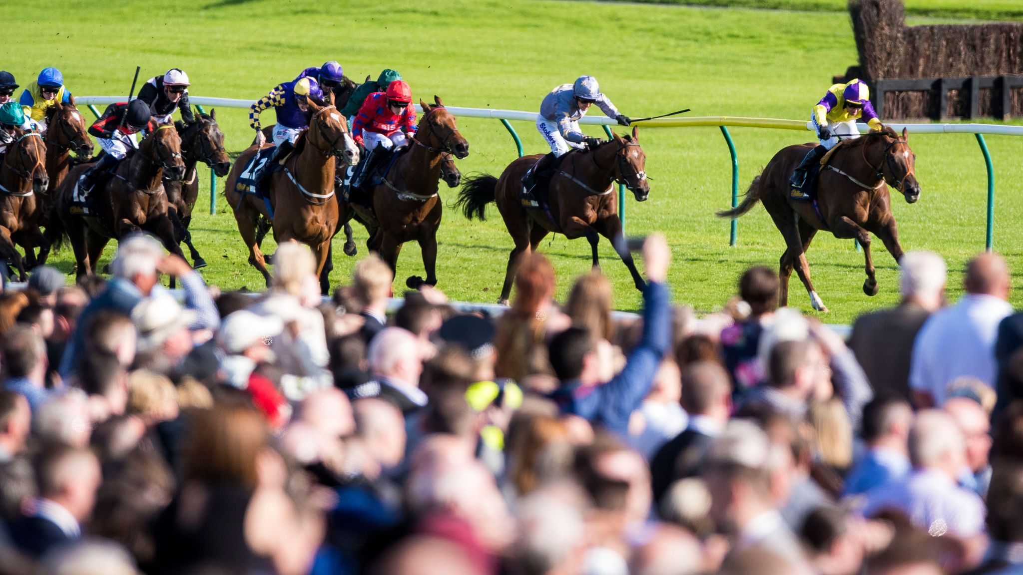 Ayr Gold Cup switched to Haydock Racing News Sky Sports