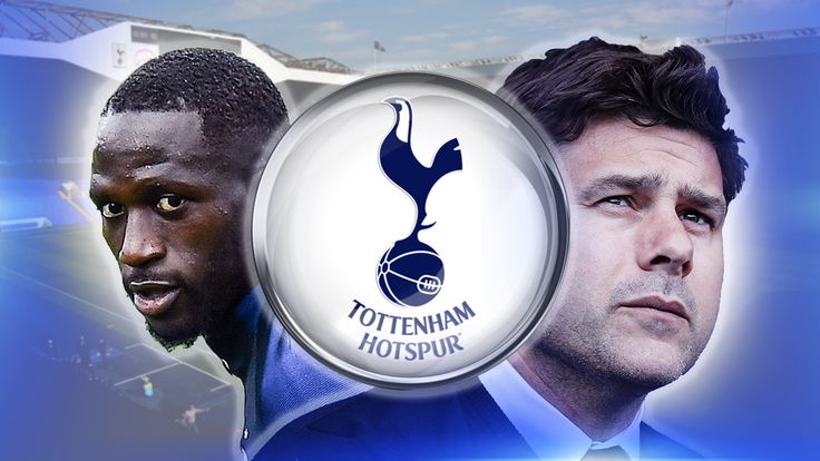 Tottenham coach Mauricio Pochettino signed Moussa Sissoko from Newcastle on transfer deadline day