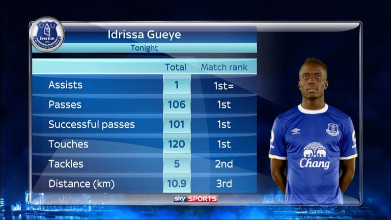 Idrissa Gueye's match stats from the game against Sunderland