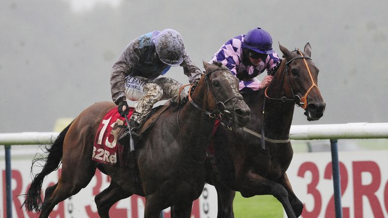 Intense Tango Montaly