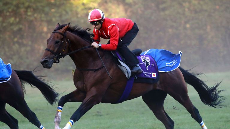 Christophe-Patrice Lemaire rides Makahiki in Gouvieux.
