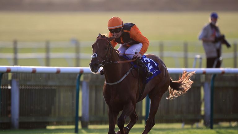 Mithqaal ridden by Danny Brock wins the Shadwell Farm Handicap (Silver Cambridgeshire).