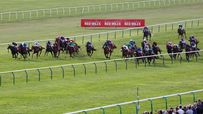 The field for the Betfred Cambridgeshire is spread right across the track a furlong out, with winner Spark Plug (dark green) nearest to the stands' rail.