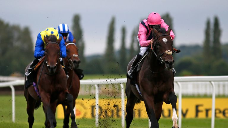 NEWBURY, ENGLAND - SEPTEMBER 17:  Jim Crowley riding Swiss Storm (R) win The Wedgewood Estates EBF Stallions Maiden Stakes at Newbury.
