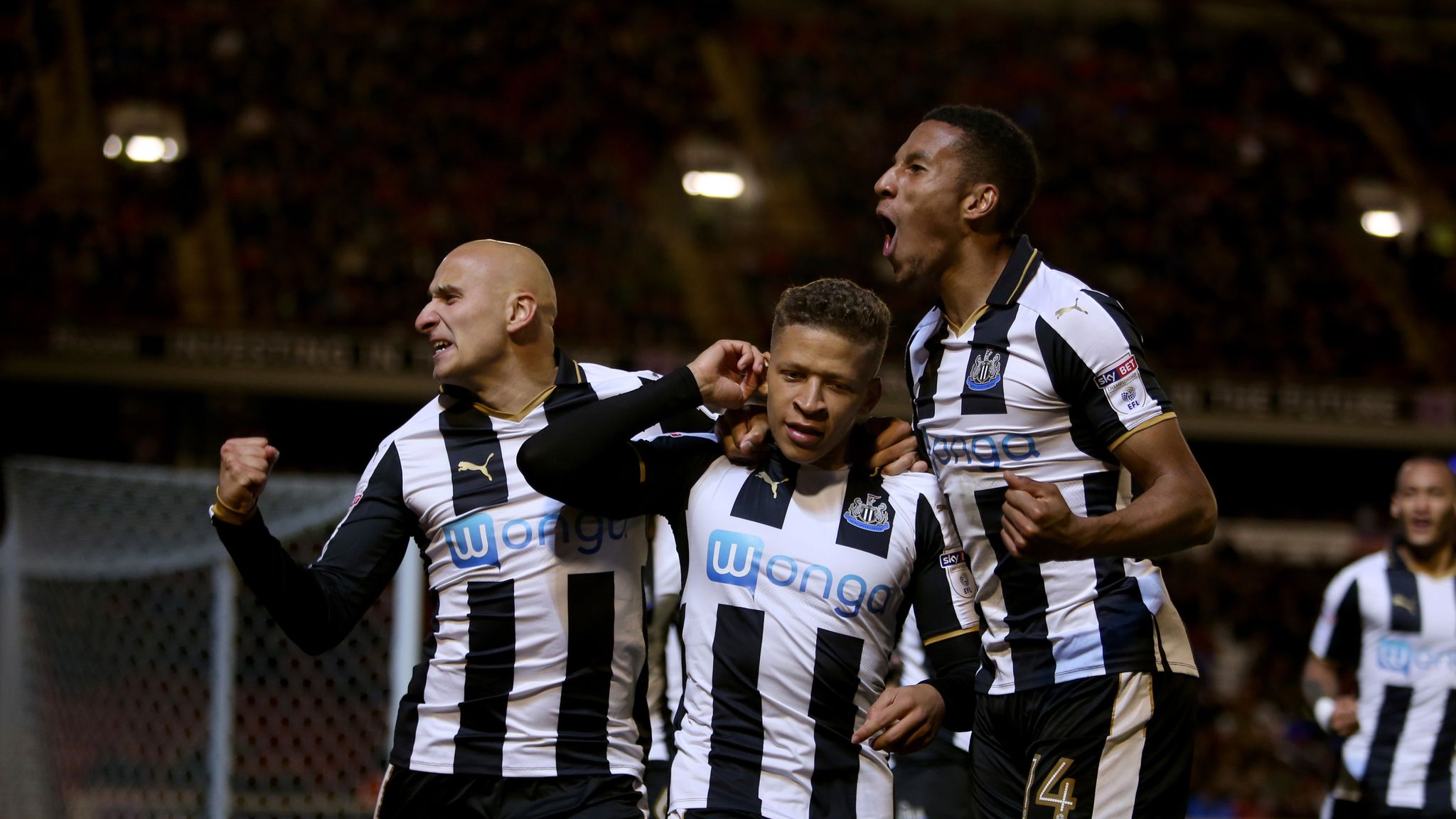 Фк сидней ньюкасл. Newcastle United.