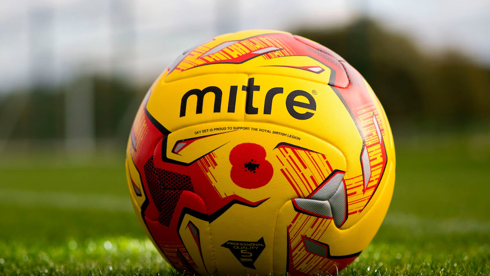 EFL Sponsor Sky Bet Teams Up With British Legion For Poppy Appeal Shirt