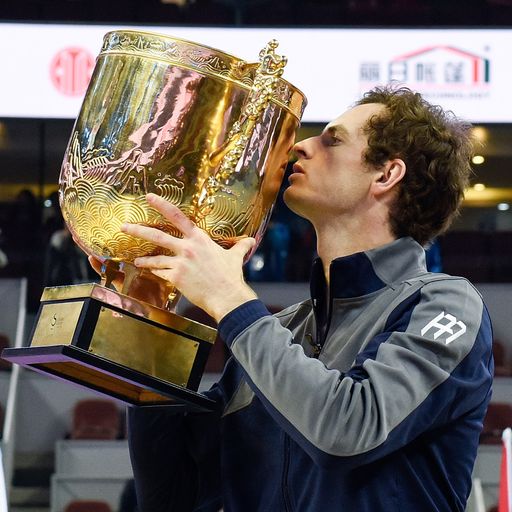 Murray's magnificent year