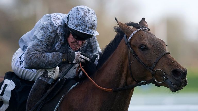 Hadrian's Approach wins at Ascot