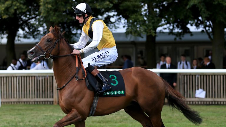 Rotherwick ridden by jockey Adam Kirby goes to post at Newmarket in 2015