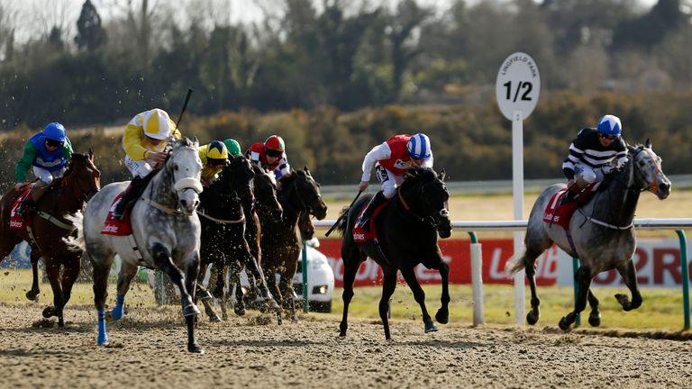 Captain Joy ridden by Pat Smullen (left, yellow) wins the Ladbrokes All-Weather Mile Championships at Lingfield in 2016.