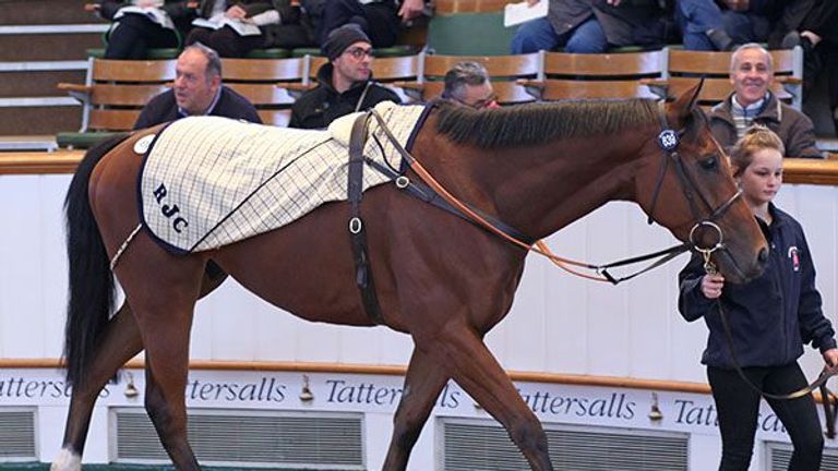 Cloudberry Lot 639 (www.tattersalls.com)
