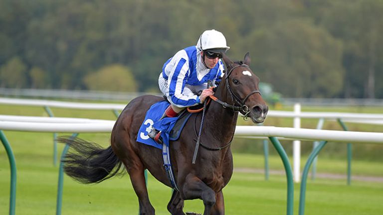 Contrapposto (www.tattersalls.com)