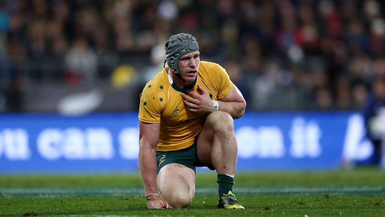David Pocock of Australia gets a breather during the Bledisloe Cup Rugby Championship match against New Zealand