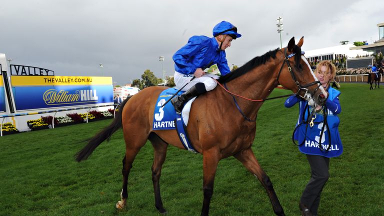 James McDonald riding Hartnell