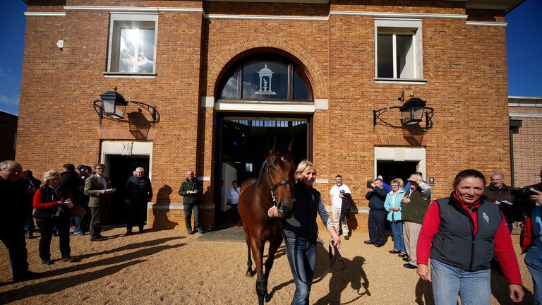 Lot 39, a bay Dubawi colt leaves the sales ring after being sold to John Ferguson for 2,600,000 guineas at Tattersalls