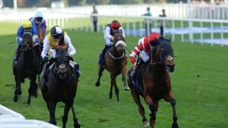Sheikhzayedroad ridden by Martin Harley (right) wins The QIPCO British Champions Long Distance Cup Race run during the QIPCO British Champions Day at Ascot