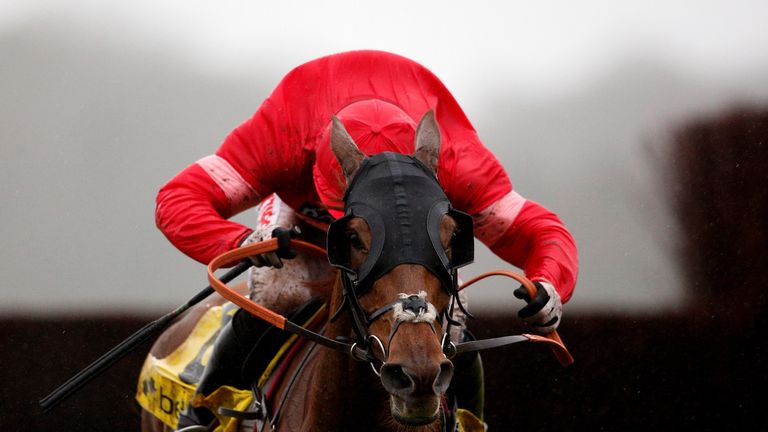 ASCOT, ENGLAND - FEBRUARY 20:  Noel Fehily riding Silviniaco Conti clear the last to win The Betfair Ascot Steeple Chase at Ascot racecourse on February 20