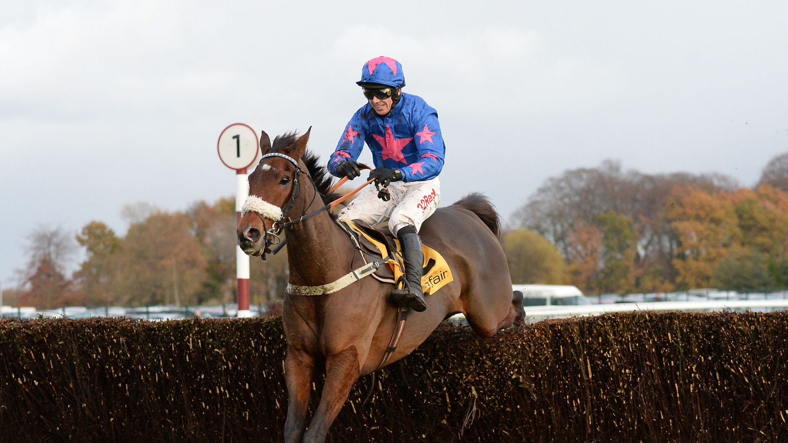 Cue Card the star turn among seven declared for Betfair Ascot Chase Racing News Sky Sports