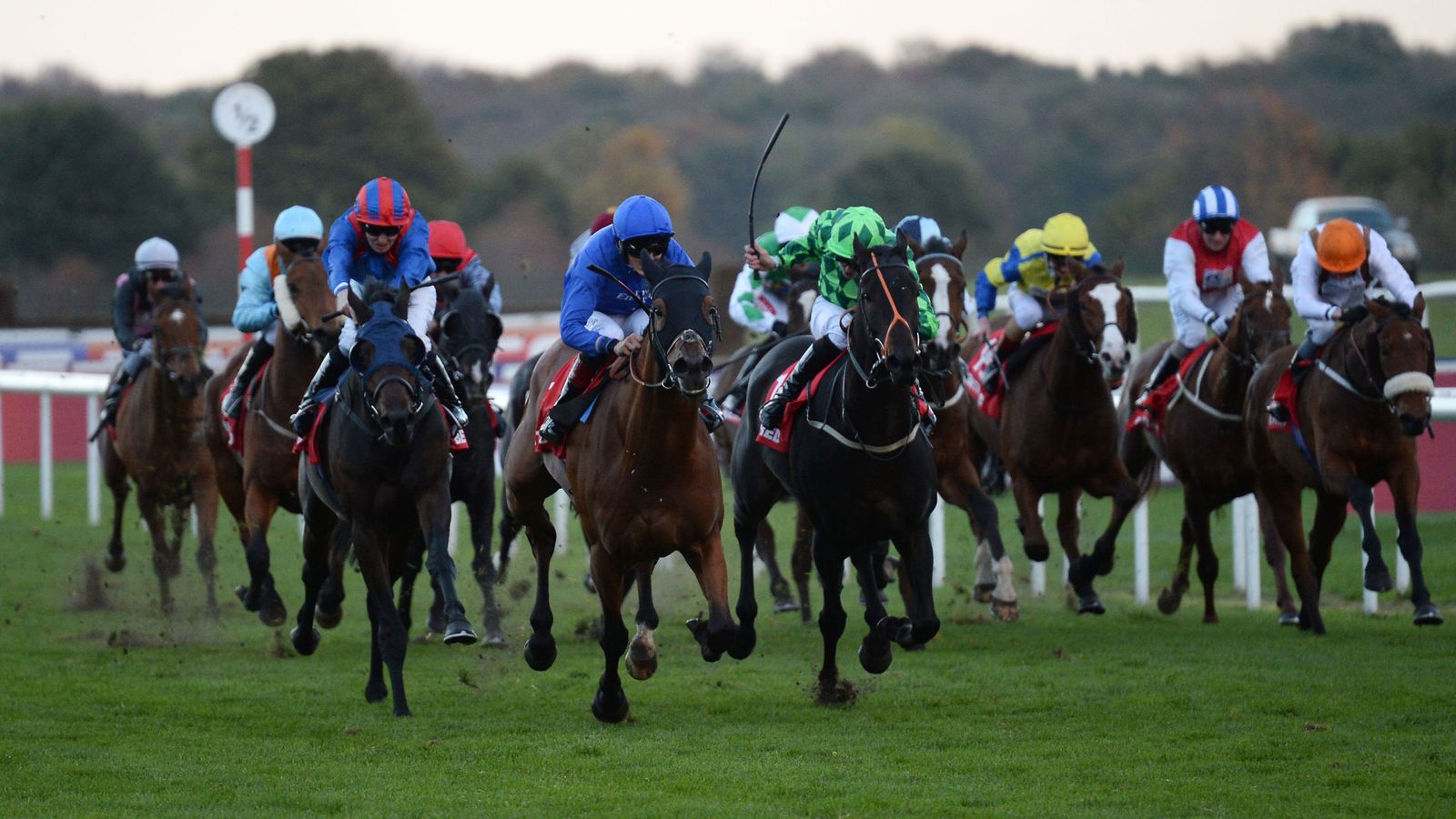 Dance The Dream intended runner in Betfred November Handicap Racing