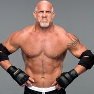 Goldberg returned in style at WWE Survivor Series