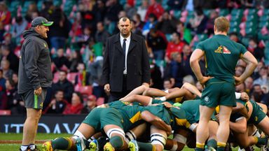 Australia coach Michael Cheika watches his players warm up prior to their game against Wales