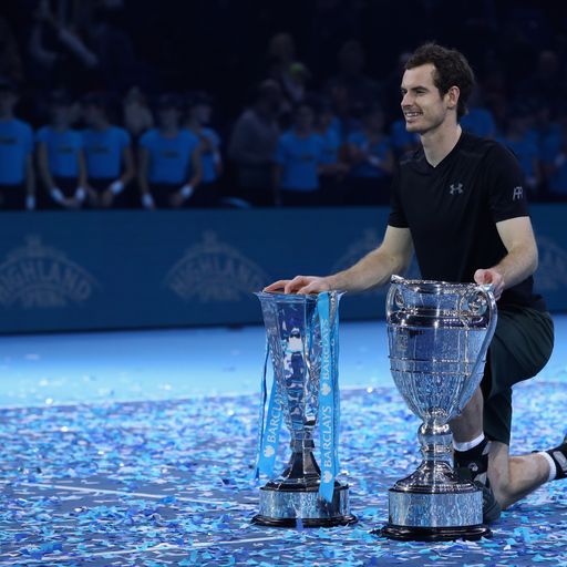 Tennis predictions 2017