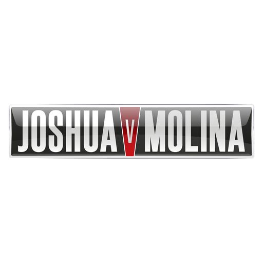 Book Joshua v Molina