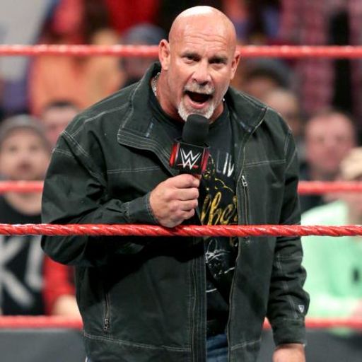 Goldberg's WWE title matches
