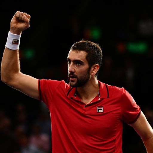 Cilic beats Djokovic in Paris