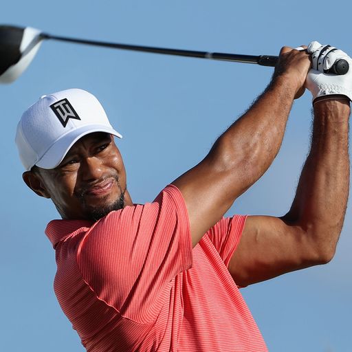 Tiger: Quitting was realistic 