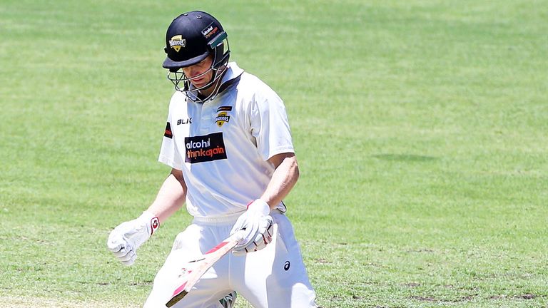 Western Australia batsman Adam Voges is on his knees after being struck by the bouncer