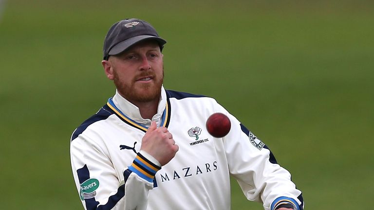 Andrew Gale has been appointed head coach at Yorkshire