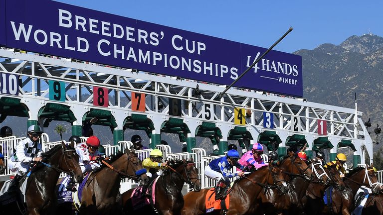 The field leave the stalls for the 2016 Breeders' Cup Juvenile Fillies.