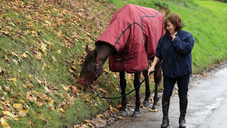 WANTAGE, ENGLAND - NOVEMBER 14:  Sara Bradstock walks Coneygree around the local area during a visit to the Mark Bradstock Stables on November 14, 2016 in 