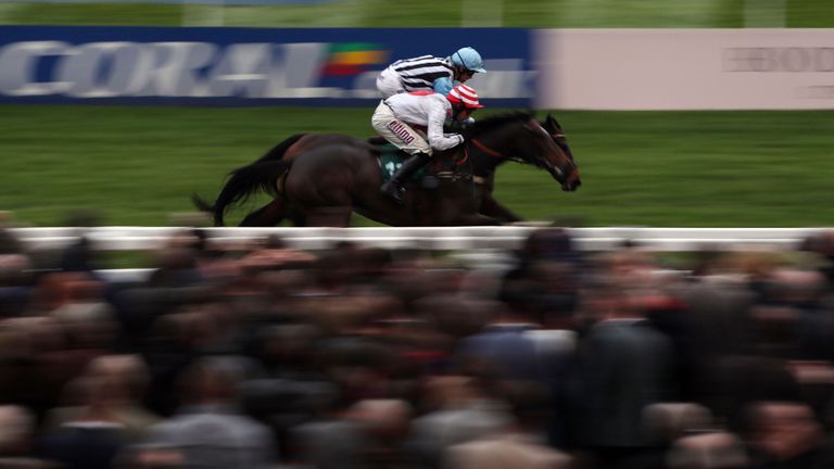 Irish Roe (top) and My Khaleesi