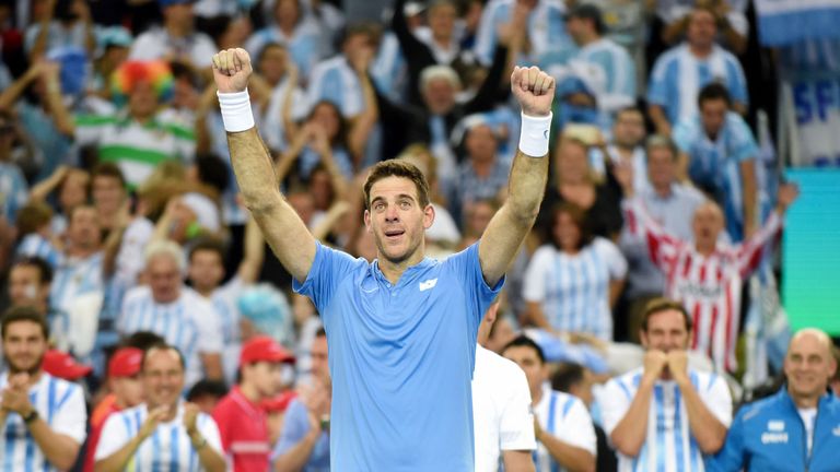 Argentina's Juan Martin del Potro celebrates after winning the Davis Cup 